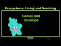 5th Grade - Science - Ecosystems: Living and Surviving - Topic Overview