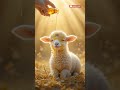 موسيقى مسيحيةرسالةإيمانصلاةيسوعمسيحيةموسيقى إنجيليةحب رائج