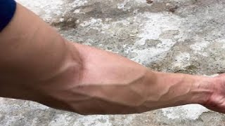 intense veiny forearm workout for advanced lifters