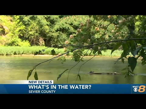 Northview Senior Academy student wins award for water research