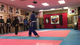 Hapkido kicks