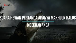 Suara Hewan Pertanda Adanya Makhluk Halus Disekitar Anda #kismis
