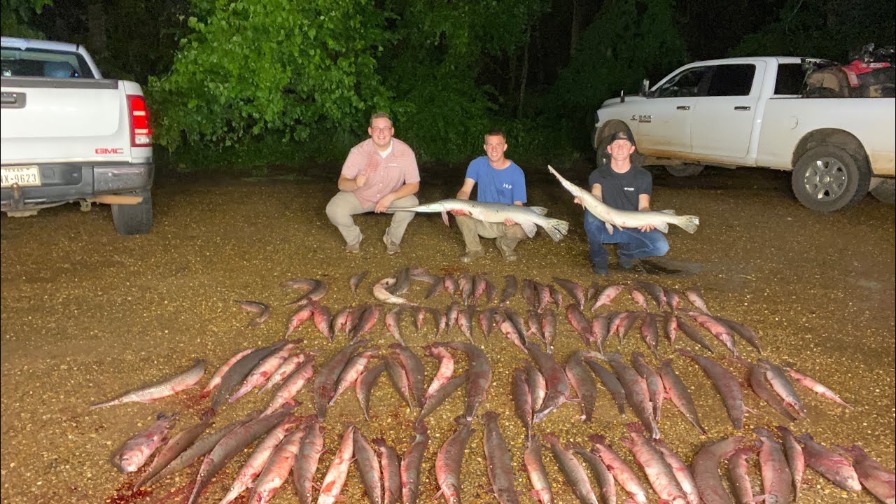 {Bowfishing} Shot {100} fish in one night! {Must watch!}