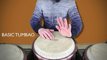 Video Congas 1: Basic Sounds and Tumbao