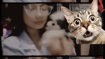 Introductory Video in Empowerment Technologies 