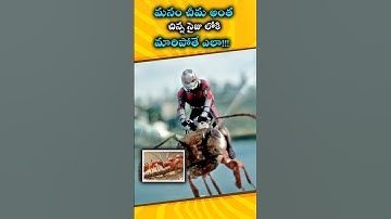 If You Were Shrunk To Insect Size 😵#trending #viralvideo #facts #antfacts #trending