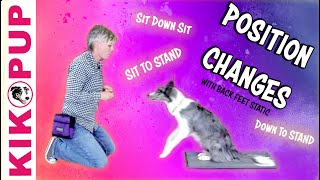 Position Changes Sit Down Stand with Back Feet Static