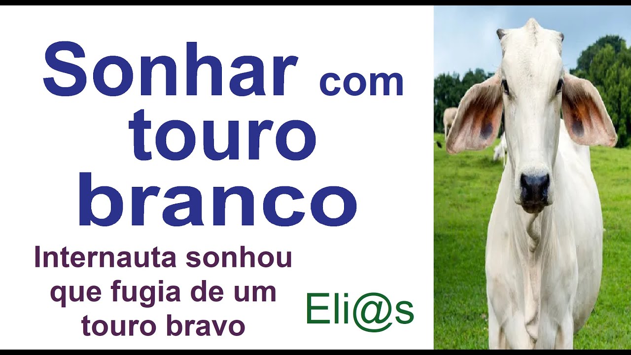 SONHAR COM TOURO BRANCO - WHAT DOES IT MEAN TO DREAM ABOUT BEING CHASED ...
