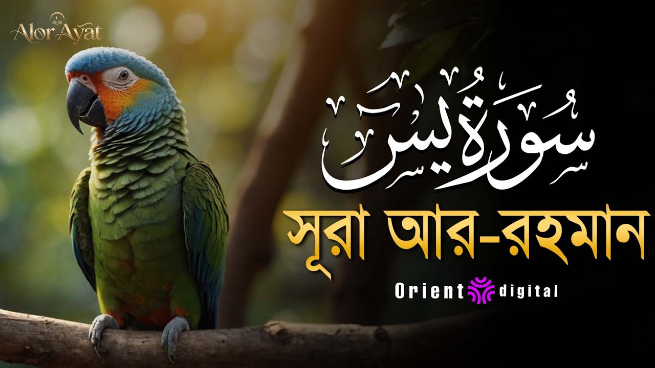 অন্তর শীতল করা সূরা ইয়াসিন এর তিলাওয়াত ┇ Surah Yasin Recited by Mohamed Ahmed Hassan