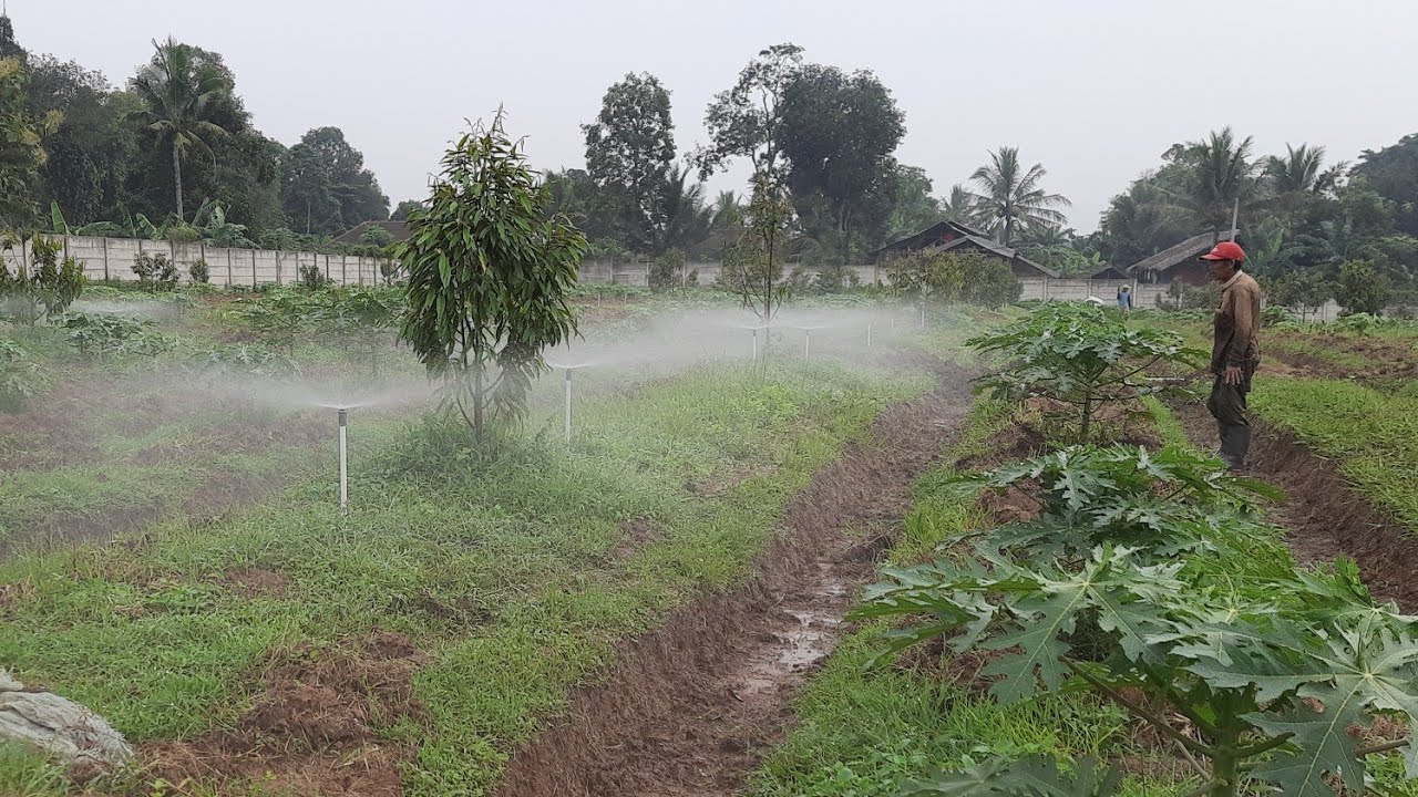 Irigasi Kebun Durian, Test Running Blok 5