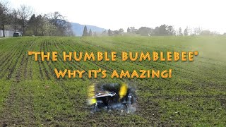 The Humble Bumblebee - Why it&#39;s Amazing!