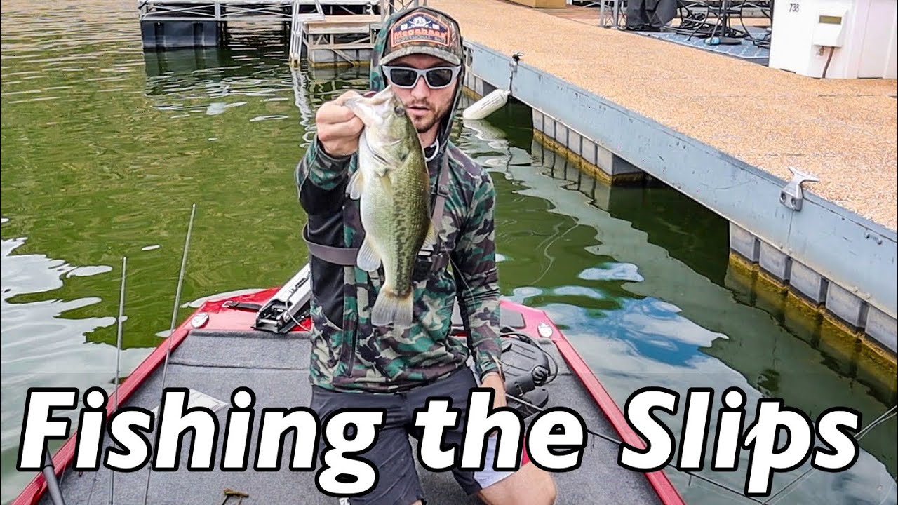 Fishing MARINAS for Summer Bass - Bartlett lake