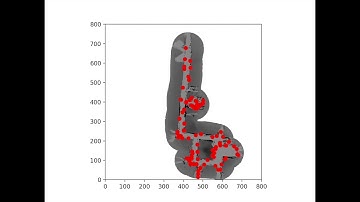 CMU 16833: Robot Localization using Particle Filter