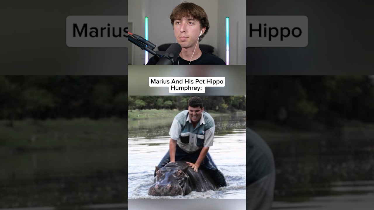 pets killing owners 🤯😱