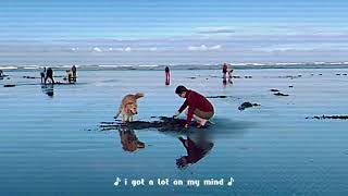 Jingle, The Golden Retriever’s Coastal Adventure 🐶🌊 Razor Clamming at Cape Disappointment