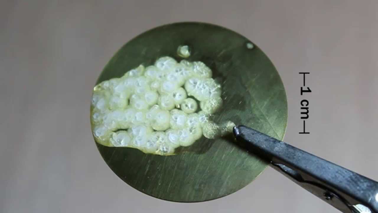 Melting and Crystallization of Poly(Ethylene Glycol) 4000