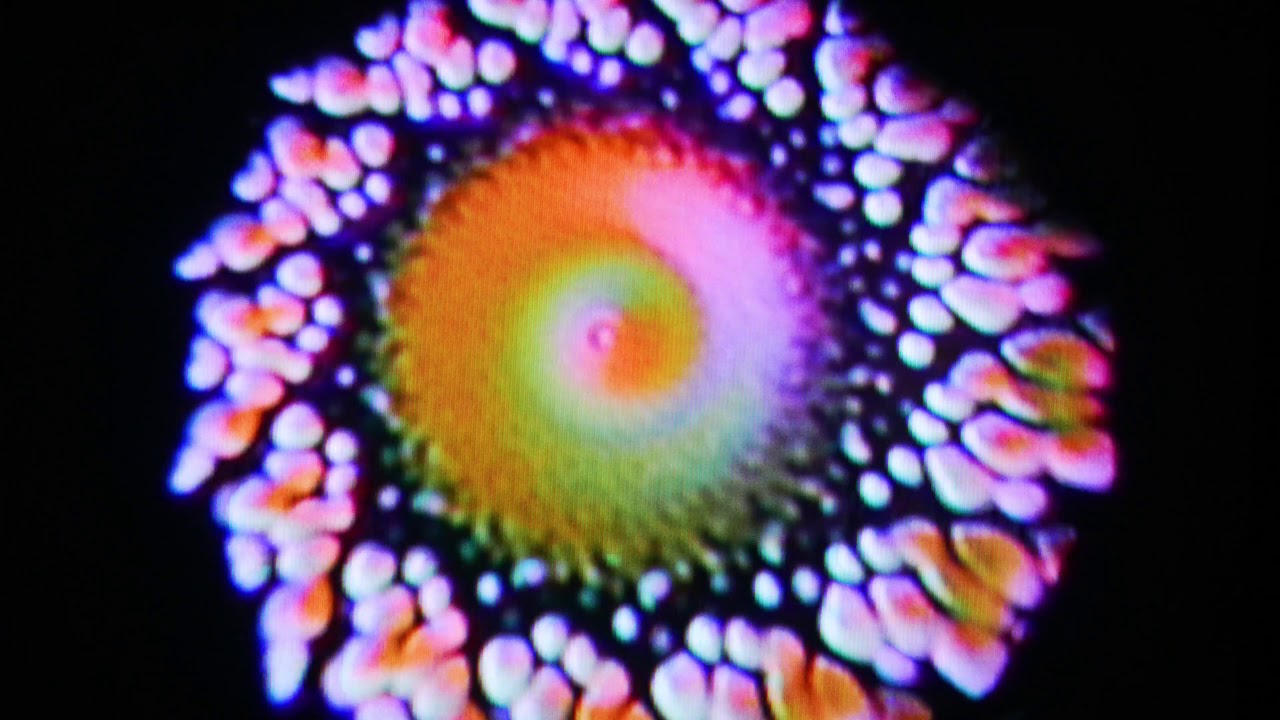 Robotboot "Porta 002" | Abstract Electronic Music | Video Art