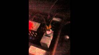 My Audio Modulated Tesla Coil