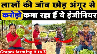अंगूर से लेकर वाइन तक  A to Z Grapes Farming (2023) || Indian Farmer feat. @FarmingEngineer