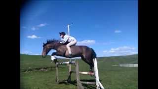 BareBack upto 1m20