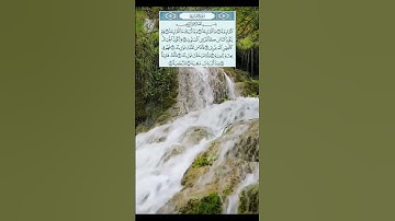#سورة_القارعة #سعد_الغامدي #alquran #راحة_نفسية #قرآن_كريم #اكسبلور #المصحف