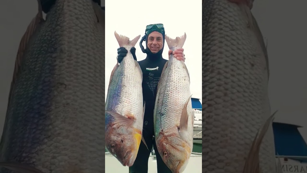 Dentones monstruosos!! 