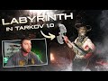 Lvndmark tries the LABYRINTH for the first time this WIPE!