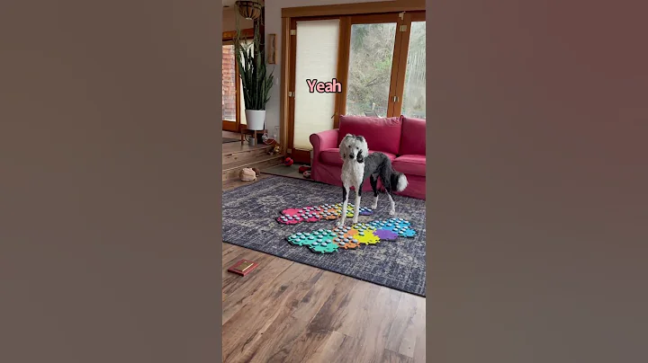 🤯🤯🤯#smartdog #iambunny #fluentpet #dogshorts