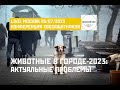 LIVE! Как защитить животных в городе? Общественная конференция. Эфир от 26.07.2023