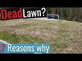 Dead lawn here are 2 reasons why and 2 solutions