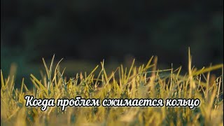 Когда проблем сжимается кольцо🎵Рома Троцковець🌿