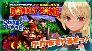 【スーパードンキーコング】今夜はお猿ナイトフィーバーだ！🐒【ホロライブ/不知火フレア】