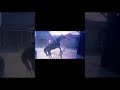 #shorts #rdr2 #foryou #funny #memes