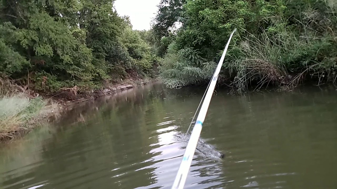 BASS FISHING TEXAS CREEKS YouTube