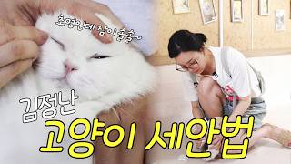 "미쳤어 진짜!!!!🔥" 삼지창에 찔린 학대묘 사연 듣고 분노한 김정난(고양이섬, 병간호)