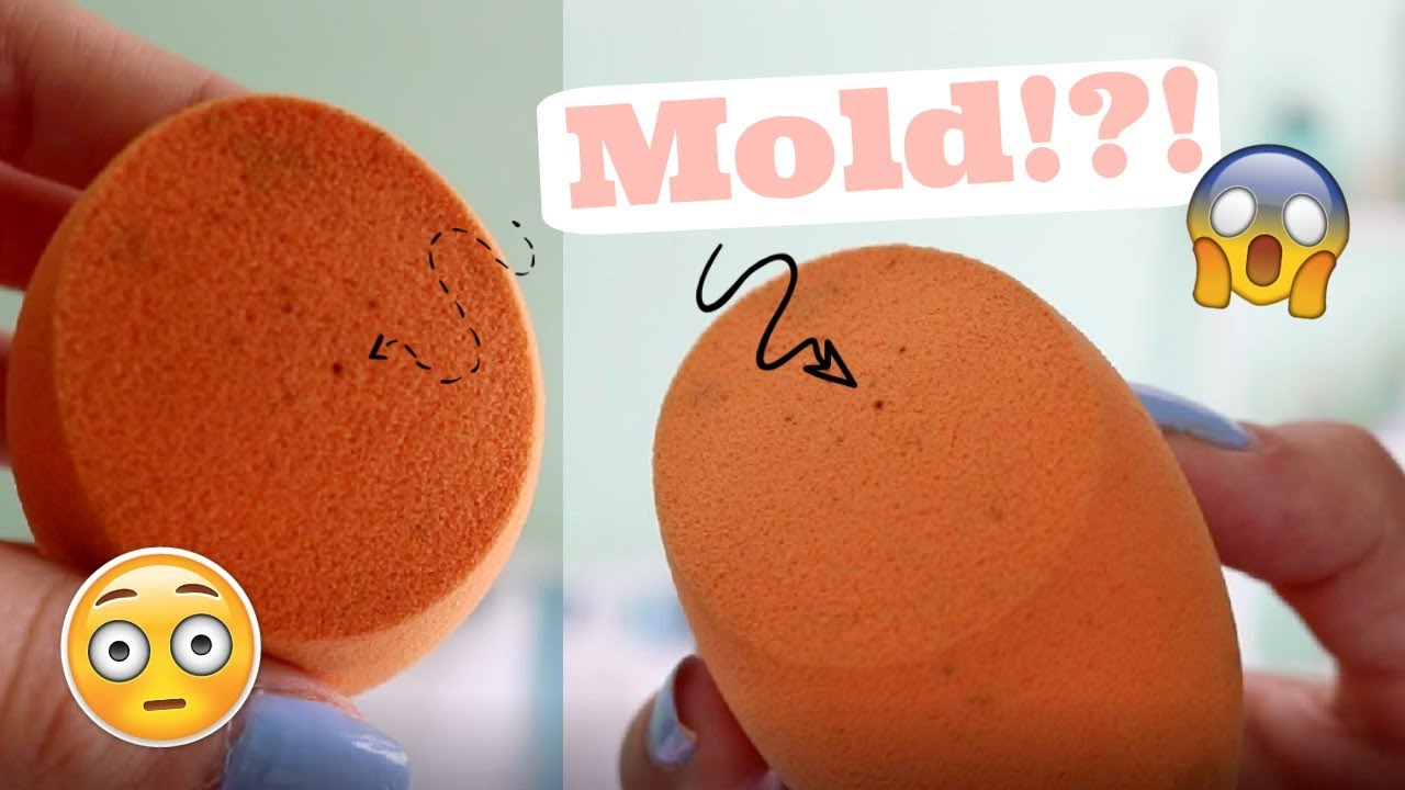 Real Techniques Miracle Complexion Sponge Review // Hailey Eliza