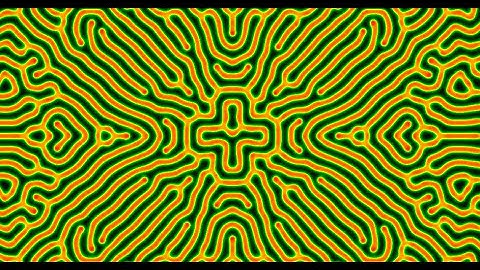 Reaction Diffusion System (Gray-Scott model)