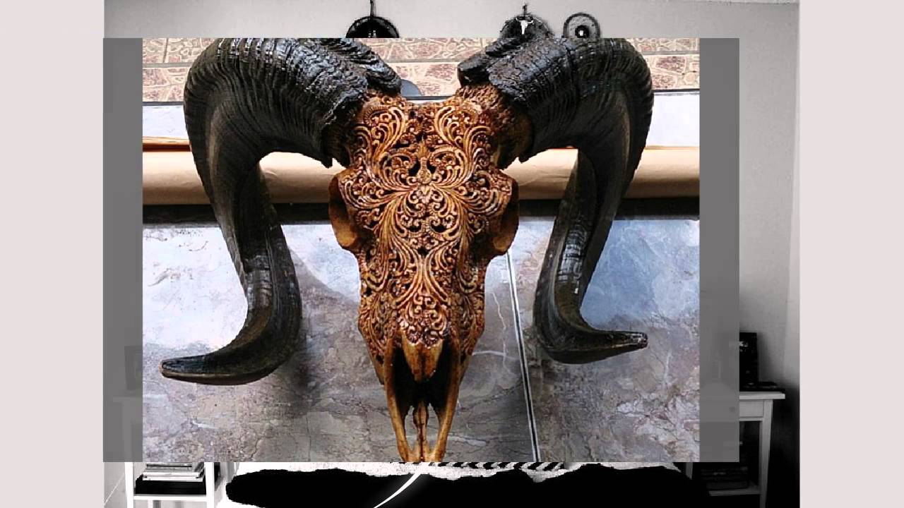 Carved Animal Skulls As Home Decor YouTube