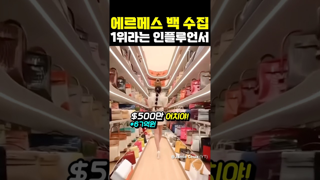 에르메스백 수집 1위라는 인플루언서