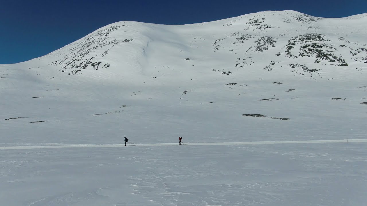 Skarddøra på sitt beste