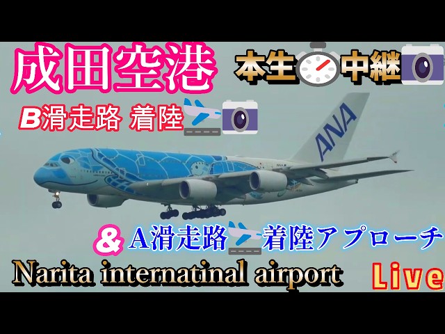 😳沢山‼️着陸🛬【2026/05/031️⃣】【A＆B✈️アプローチ
