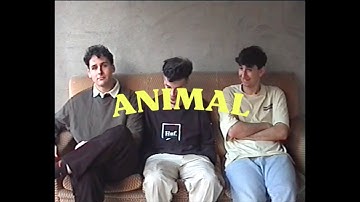 The Indexes - Animal (Official Music Video)