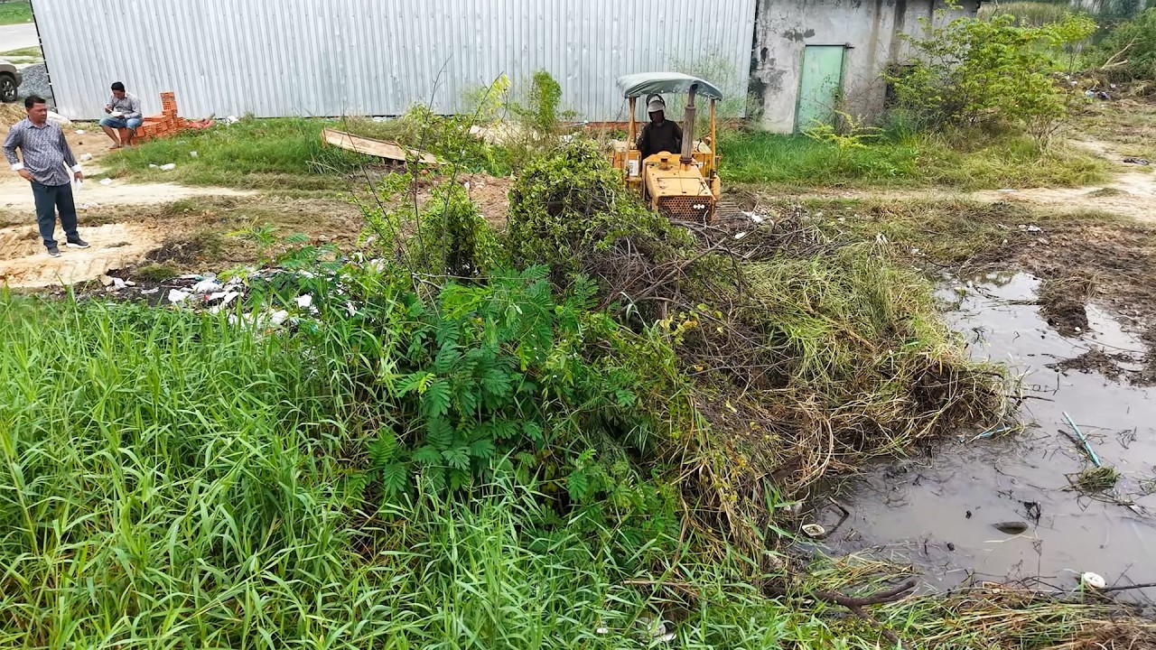Nicely Landfill Task! Good Operator Bulldozer Push Soil With Team Dump Trucks 5t