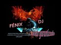 🎧(EURO DANCE MIX  CLÁSICO)🎧🕺🔊 [FÉNIX DJ]