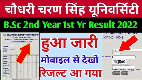 ccsu bsc 2nd year result 2022 | declared regular| bsc 1st Year | ccsu result 2022 bsc 2nd year
