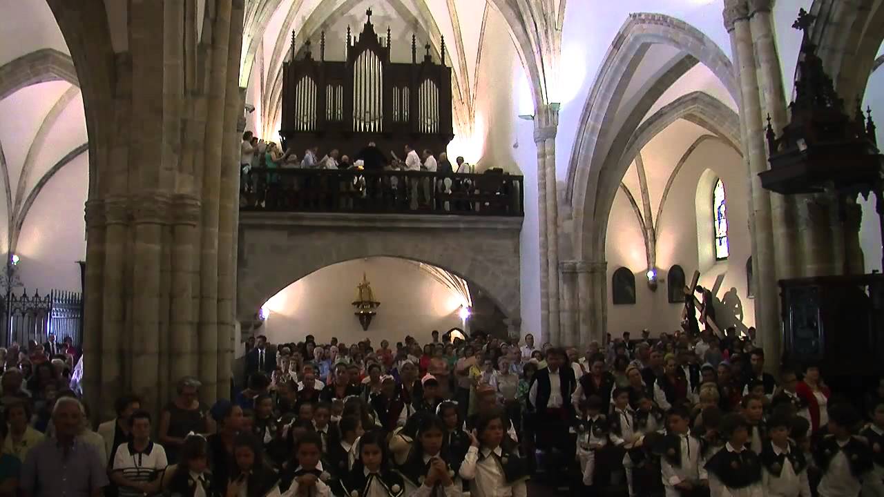 Vídeo Fiestas de San Roque 2013 (versión extendida)