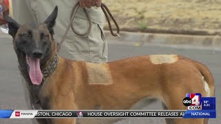K-9 that survived Tremonton shooting reunites with medical team that saved her life