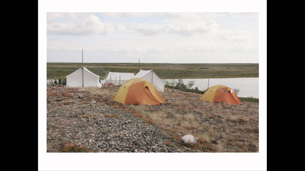 An exceptional case study of lake trout diversity by Louise Chavarie.mov