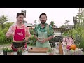 Ayam Goreng Soto Ini Juaranya Rasa Numero Uno! | MASAK MASAK (26/5/24) P2