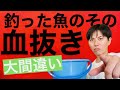 【釣った魚の血抜き】魚を釣り上げたら血抜きしてますか？その血抜き中に魚はどんどんやばい事になっています。つまりせっかくの血抜きが逆効果です。